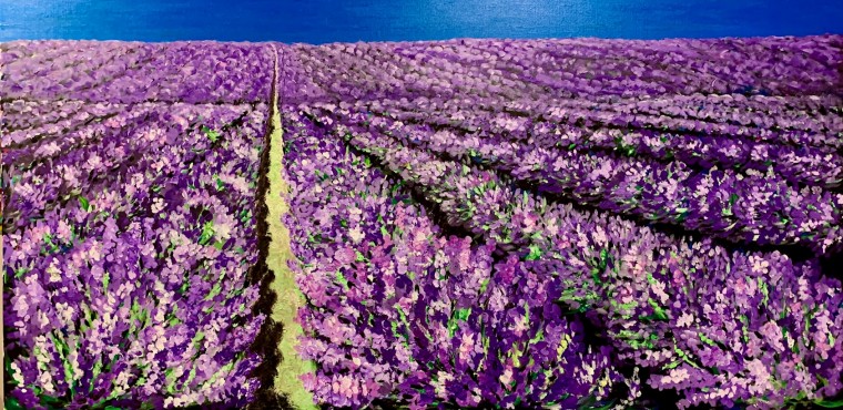 Lavendel und die blaue Stunde, 2019